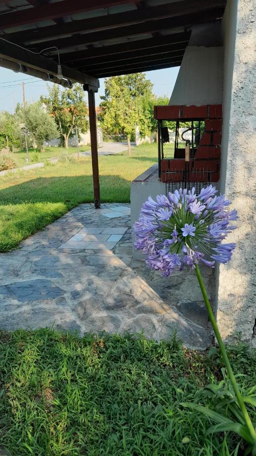 فيلا Gorjelina 'S House فولوس المظهر الخارجي الصورة